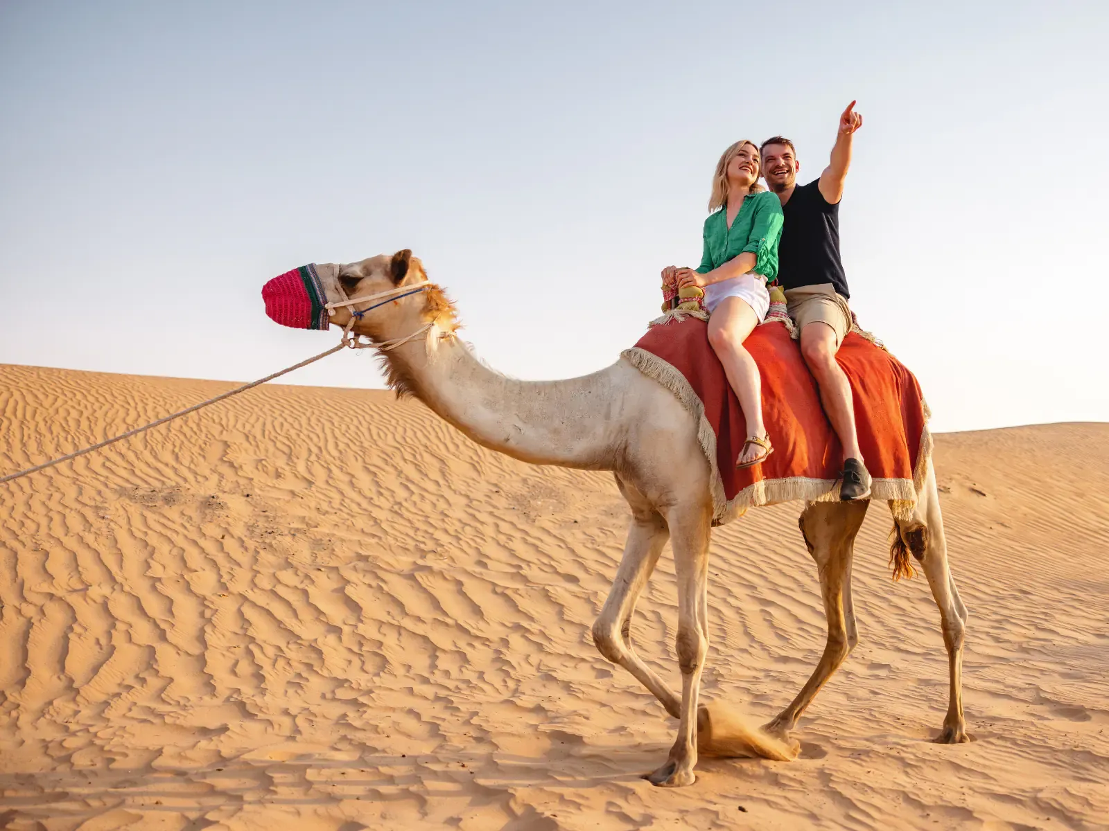 Agafay Desert, Camel Ride