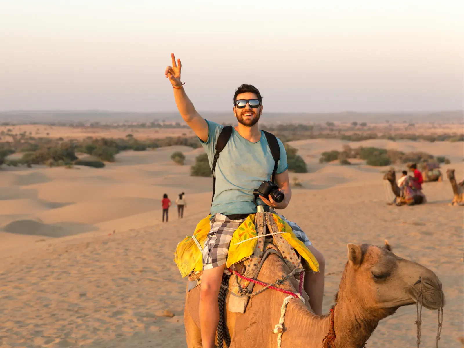 Camel ride across the Agafay stone desert at sunset