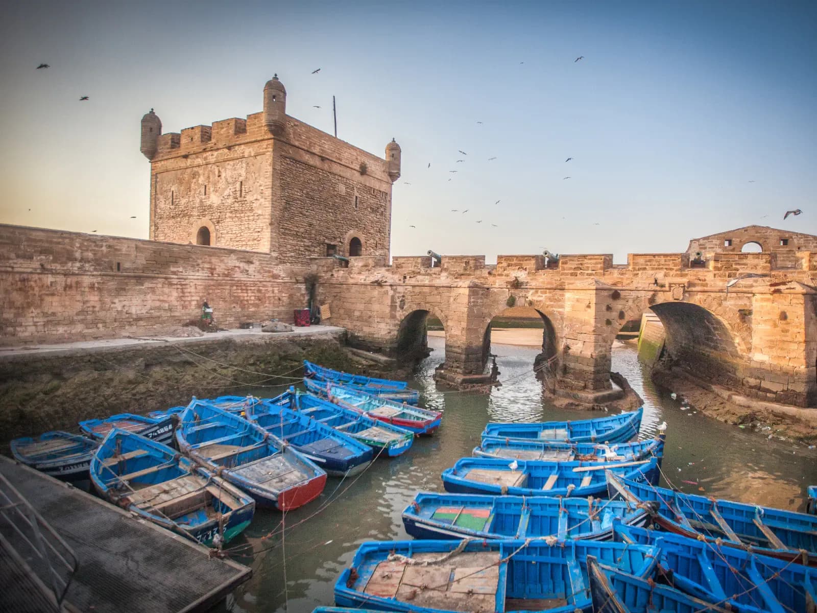 Fishing boats in Essaouira's historic harbour